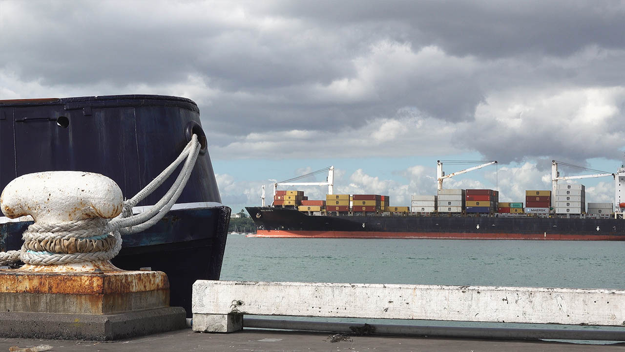 MSC Star R